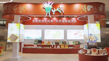 黔藥出山新窗口 貴州中藥材館常駐亳州，近400種道地藥材集中亮相